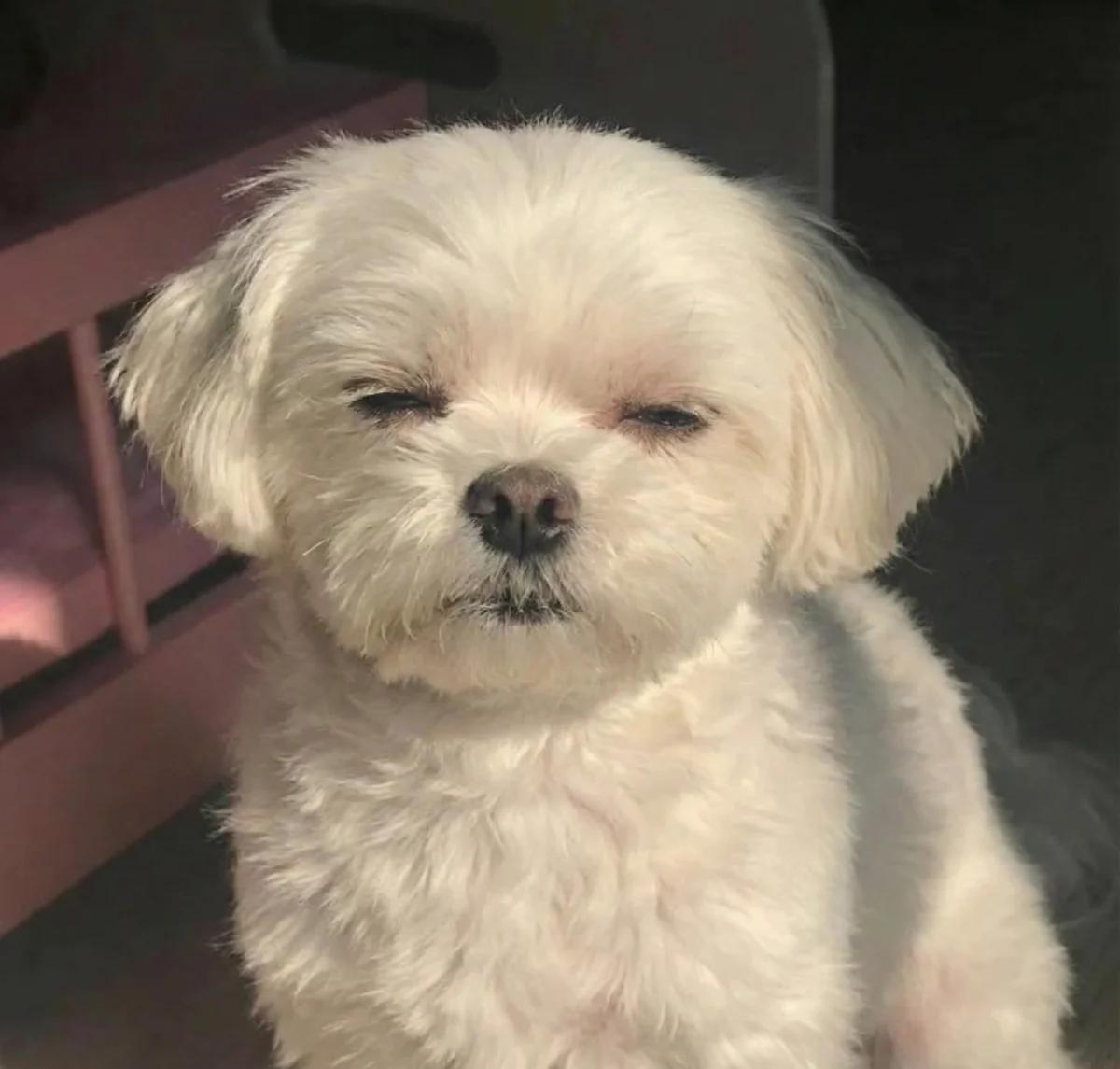 测试新的编辑器，我需要把字数限制去除了