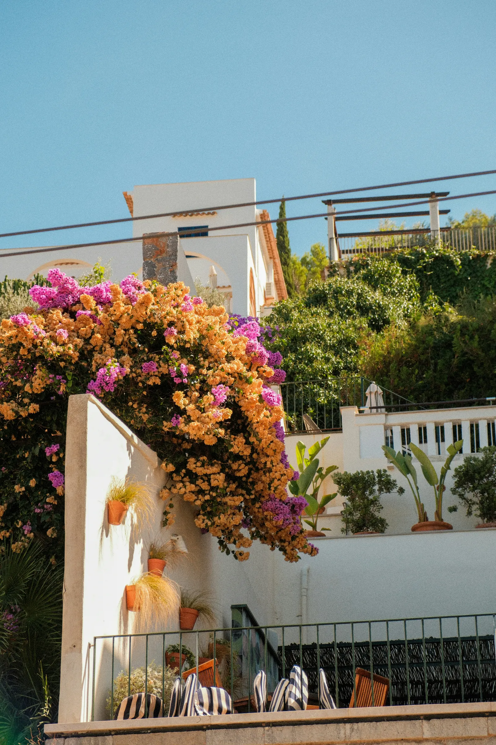 alexis-presa-f-ZDDZipyHw-unsplash